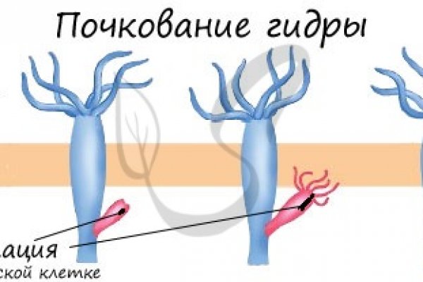 Кракен площадка что это