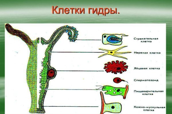 Кракен маркетплейс ссылка тг