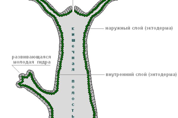 Что такое кракен в интернете